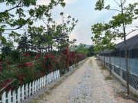 솔안넘어자연속으로