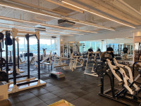 DOM 피트니스 PT 향동점