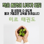 미르태권도장