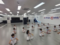 국가대표 진 태권도