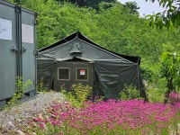 두메산골개복숭아농장