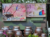 두메산골개복숭아농장