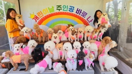 소소하개 애견유치원 애견호텔