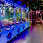 레인보우캐슬