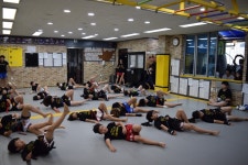 팀 정도관