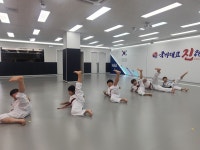 국가대표 진 태권도