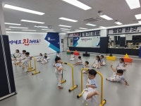 국가대표 진 태권도