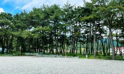 송정솔바람해변캠핑장