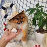 예쁘댕 오창