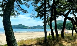 송정솔바람해변캠핑장