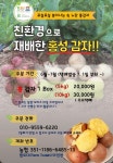 팜토다