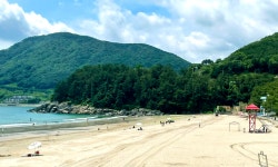 송정솔바람해변캠핑장