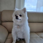 멍친카페