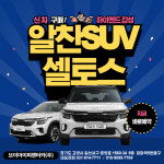 VIP렌트카 일산본점