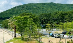 송정솔바람해변캠핑장