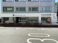 강동큰숲동물병원