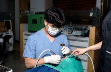 하루애드림치과의원