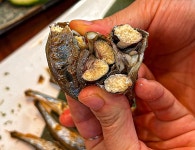 킨토토