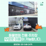 24시 숨 동물의료센터