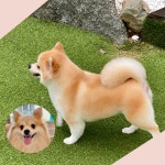 미스터멍