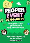 하이, 포포