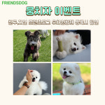 프렌즈도그