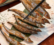 킨토토