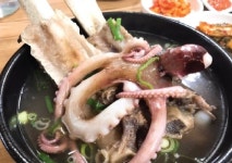 백년한우