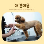 복이애견샵