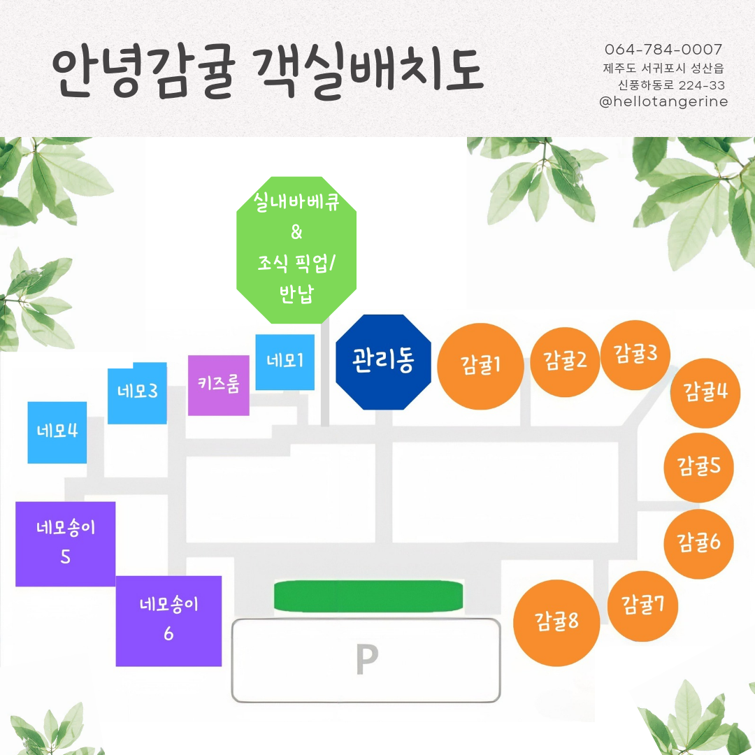 네모귤 이미지