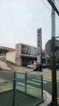 제주가흑돈애