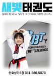 용인대새빛태권도
