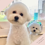 미스터멍