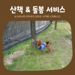 복이애견샵