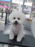 나리펫살롱
