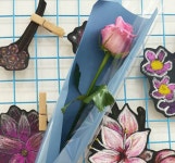 이레아트미술학원