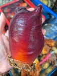 태한물산