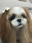 마이뷰티독 강남점