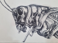 아이피플미술학원