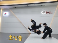 정무합기도