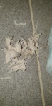 일산싱크대막힘 변기역류세면대뚫는업체 배관막힘 하수구수리