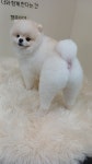 멍