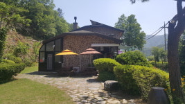 모닝펠리스