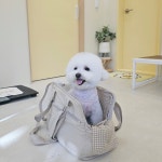 따뜻하개