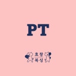 효창복싱