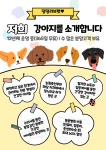 댕댕러브펫