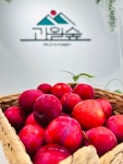 과일숲