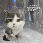 야옹아놀자 포항점