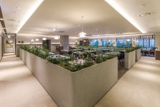 도원스타일 압구정점