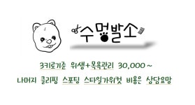 수멍발소 강아지미용실